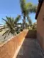 306 Coral Reef #50 thumbnail 32