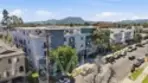 5232 Satsuma thumbnail 40