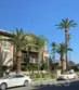 228 S Olive Avenue #A302 thumbnail 7