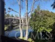 7890 E Spring Street #17P thumbnail 3