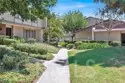 2993 N Cottonwood #13 thumbnail 3