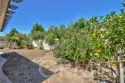45743 Magnolia thumbnail 38