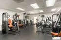 10306 Summertime Lane thumbnail 18