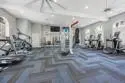 2184 Gill Village Way #503 thumbnail 21