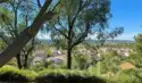 25134 Via Terracina thumbnail 7