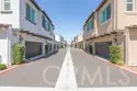 39438 Corvina thumbnail 24