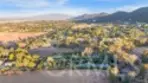 42761 Juniper thumbnail 70