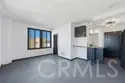315 W 3rd Street #410 thumbnail 3