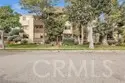 445 Ivy #204 thumbnail 5
