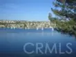 26946 Orchid thumbnail 34