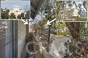 1351 N Orange Drive #205 thumbnail 14