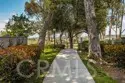 118 Matisse thumbnail 44