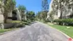 4041 Via Marisol #113 thumbnail 13