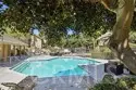 127 Lemon thumbnail 22