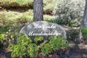 3152 Avenida Topanga thumbnail 40