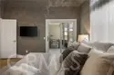39140 Gray Squirrel thumbnail 14