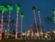 34134 Selva Road #248 thumbnail 35