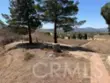 35095 Via Cerro thumbnail 41