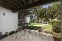 306 Orange Blossom thumbnail 12