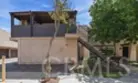 12241 Carnation #D thumbnail 2