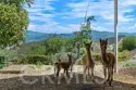27777 Sycamore Mesa Road thumbnail 66