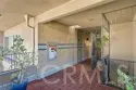 1255 S Orange Grove Boulevard #5 thumbnail 21