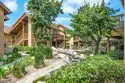 306 Tangelo #342 thumbnail 19