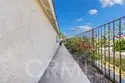 44682 Labeta Circle thumbnail 50