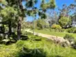 33852 Del Obispo Street #9 thumbnail 51