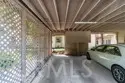 21256 Camelia thumbnail 28