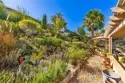 44804 Mumm thumbnail 34