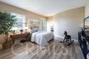 26252 Sage Grass Court thumbnail 53