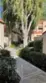 15 Aruba thumbnail 49