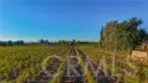 34965 Via Del Ponte thumbnail 70