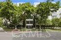 450 N Palm Drive #407 thumbnail 5