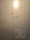 100 Atlantic #711 thumbnail 7