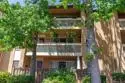 4600 Lamont #212 thumbnail 30