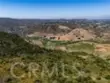 29412 Christiana Way thumbnail 32