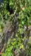 36493 Summitville thumbnail 28