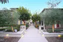 385 S Marengo Avenue #205 thumbnail 21