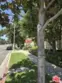 14315 Riverside Drive #105 thumbnail 21