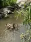 7050 Shoup #221 thumbnail 26