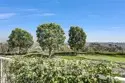 29332 Elba Drive thumbnail 38