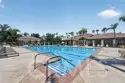 31280 Whistling Acres thumbnail 62