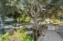 208 Springview thumbnail 28