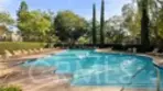 70 Cinnamon Teal thumbnail 38
