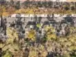 22235 Vista Verde thumbnail 49