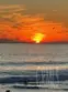 1200 Pacific Coast #426 thumbnail 43