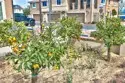 28397 Partridge Way #1001 thumbnail 31