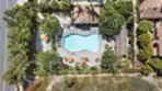 48 Paseo Verde thumbnail 36